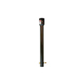 DANUSER 10916